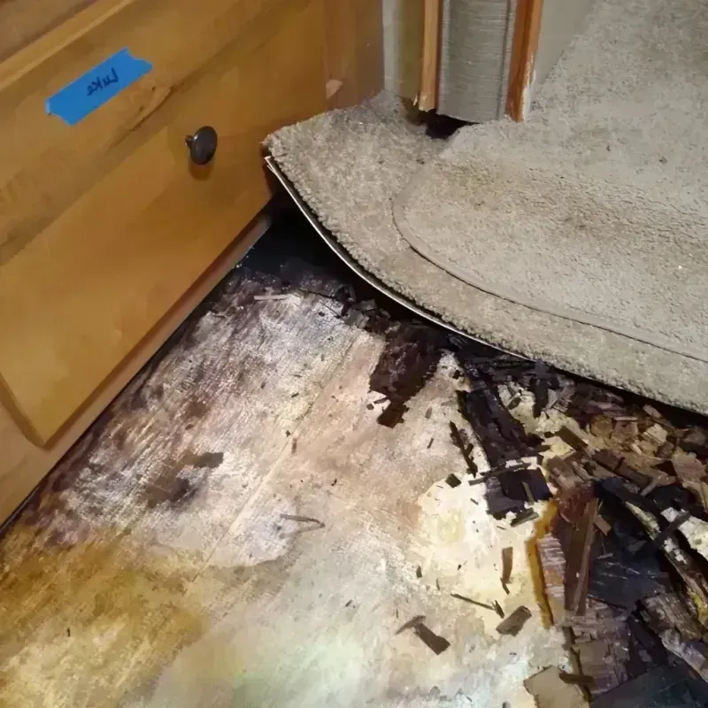 Wood Floor Water Damage in Lakeland, FL